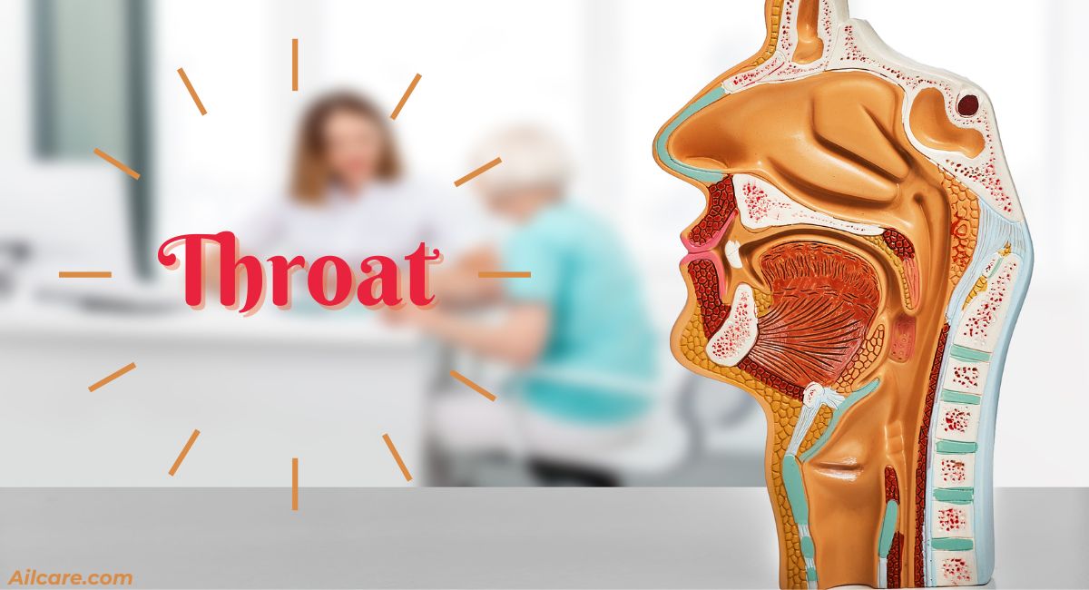 Throat