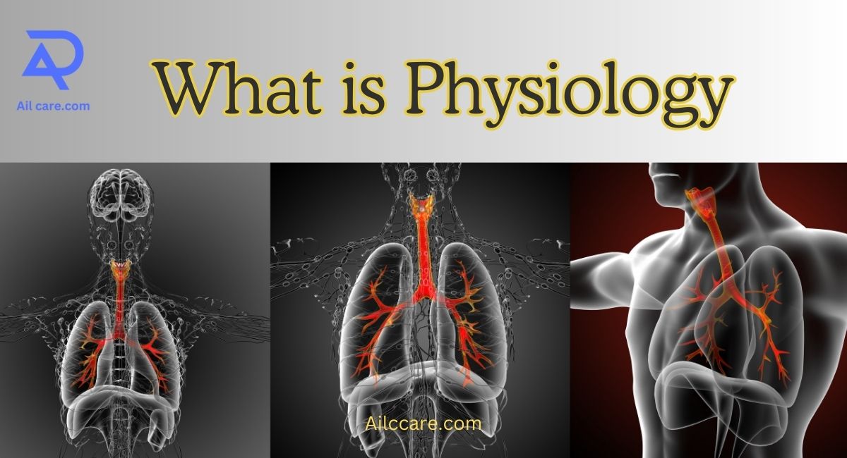 What is physiology