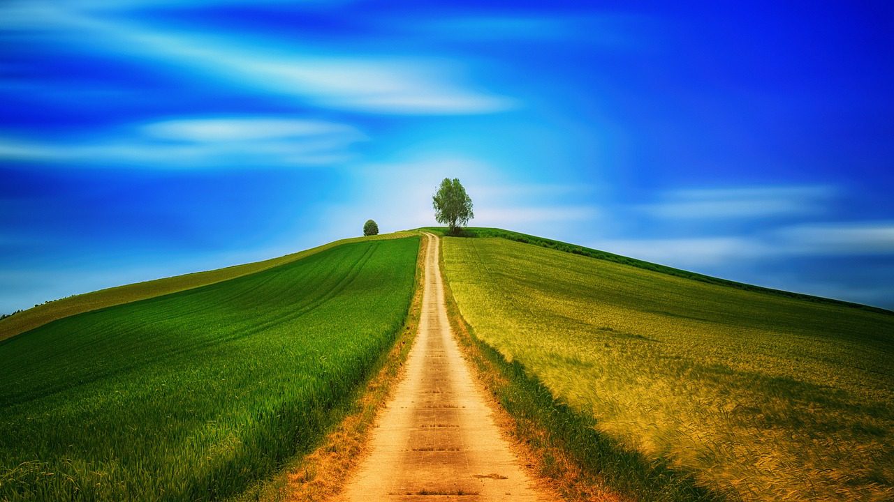 Nature's Way in Birth