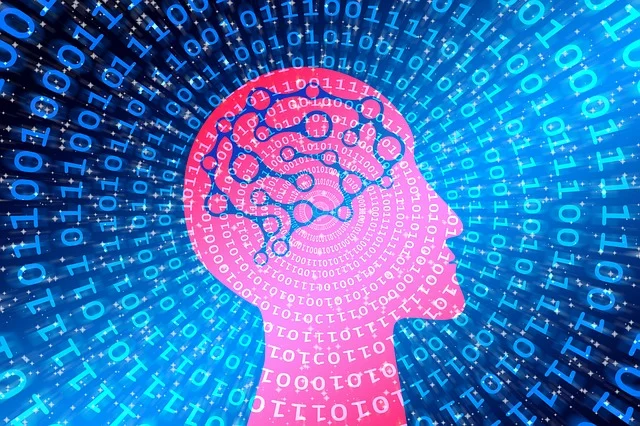 brain evolution
