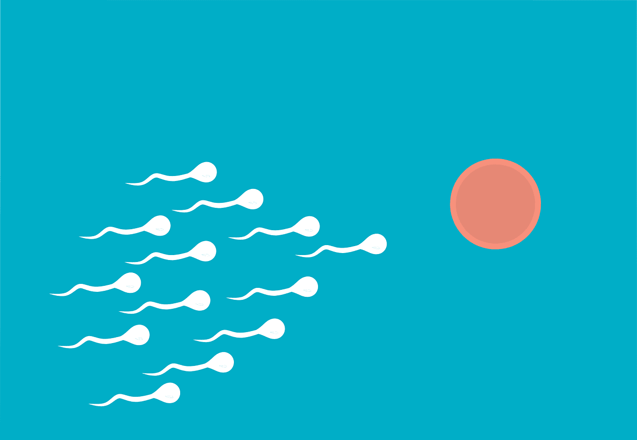 sperm