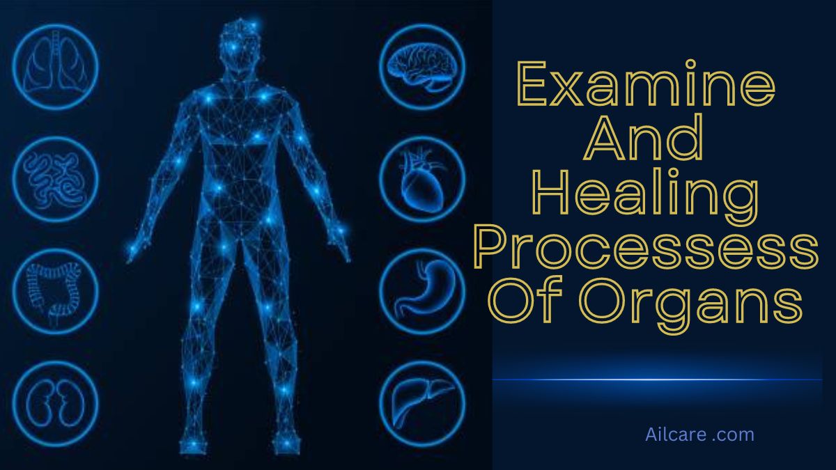 What are the methods of self healing miracles of human organs