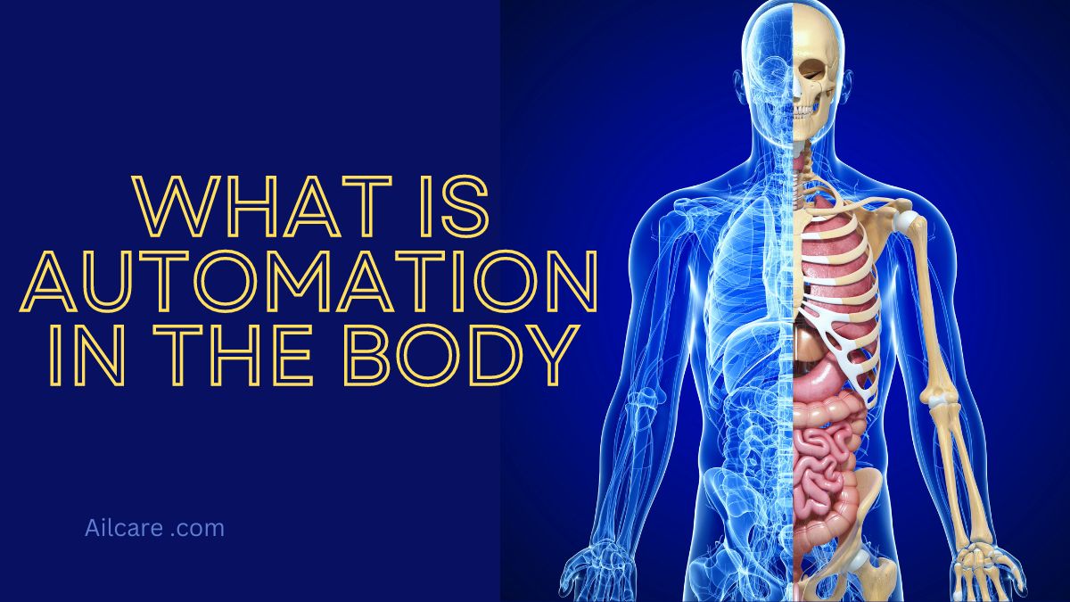 What is Automation In the Body?